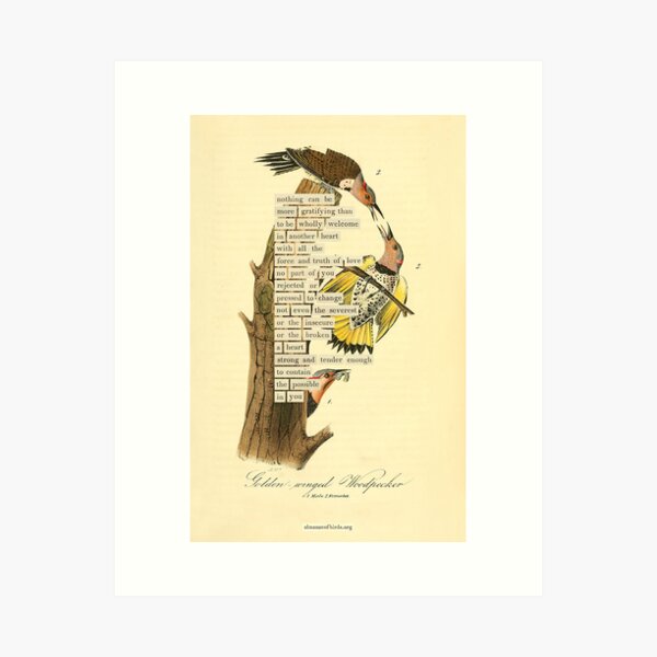Item preview, Bird Divination: Yellow-winged Woodpecker (almanacofbirds.org) designed and sold by mariapopova.