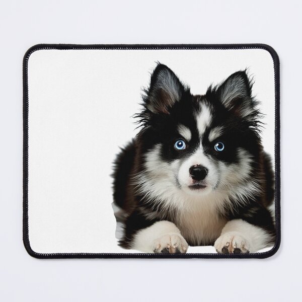 Item preview, "Pomsky Magic: Where Fluff Meets Adventure" designed and sold by BHC-P.