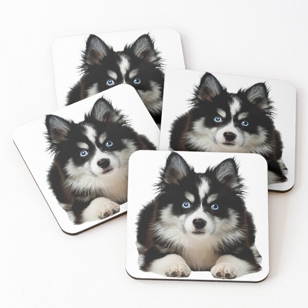 Item preview, "Pomsky Magic: Where Fluff Meets Adventure" designed and sold by BHC-P.
