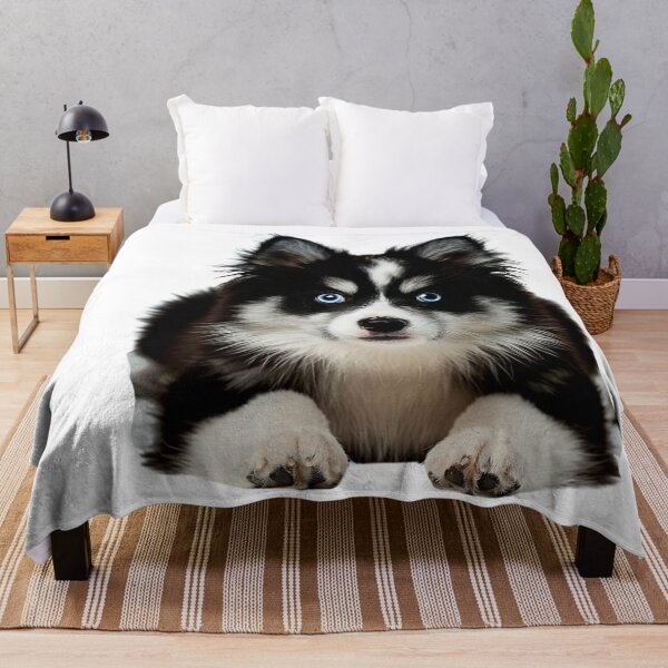 Item preview, "Pomsky Magic: Where Fluff Meets Adventure" designed and sold by BHC-P.