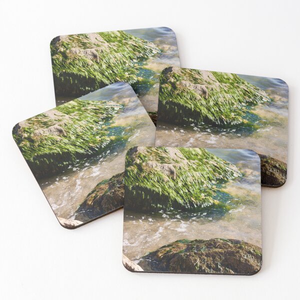 Item preview, Mossy designed and sold by albaboschphoto.