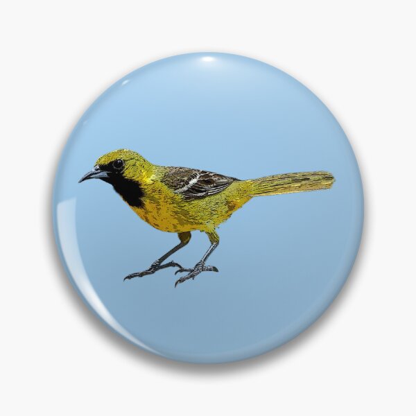 Item preview, Orchard Oriole Juvenile Male Color Design  designed and sold by designsasstultd.