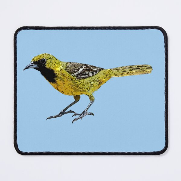 Item preview, Orchard Oriole Juvenile Male Color Design  designed and sold by designsasstultd.