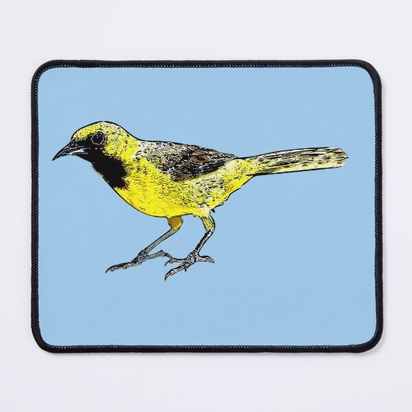 Item preview, Orchard Oriole Juvenile Male Black Alternate Design  designed and sold by designsasstultd.