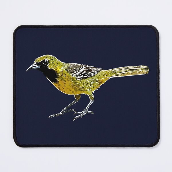 Item preview, Orchard Oriole Juvenile Male White Alternate Design  designed and sold by designsasstultd.