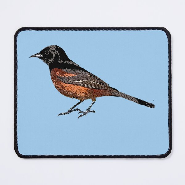 Item preview, Orchard Oriole Male Color Design designed and sold by designsasstultd.