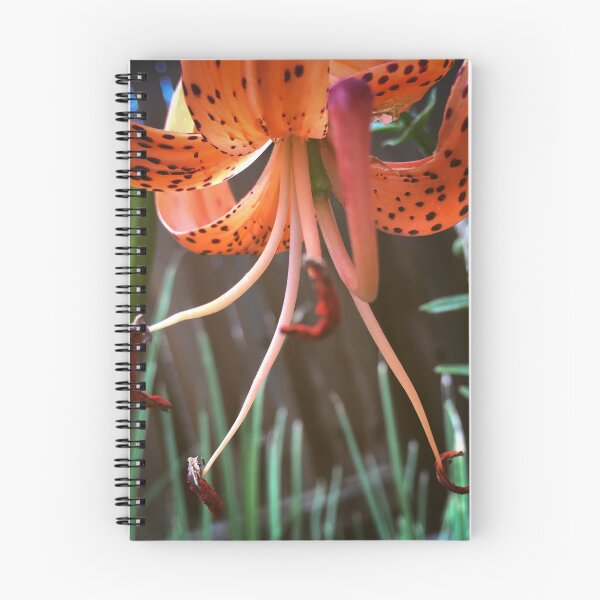 Item preview, Late July Tiger Lily designed and sold by StoutHeart Studio.