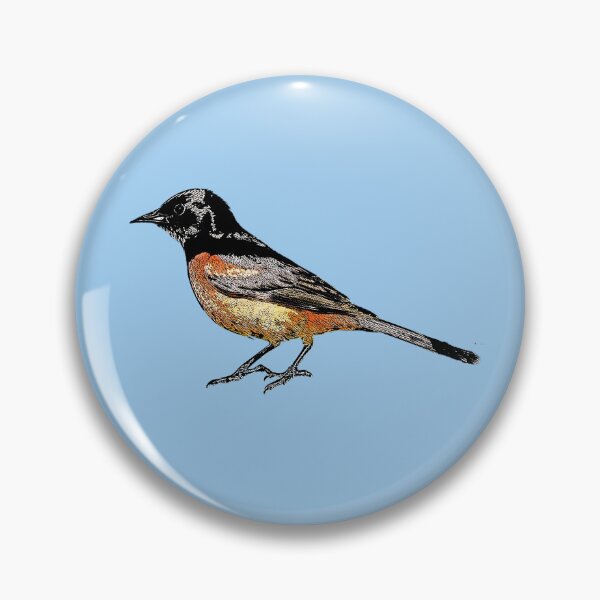 Item preview, Orchard Oriole Male Black Alternate Design  designed and sold by designsasstultd.