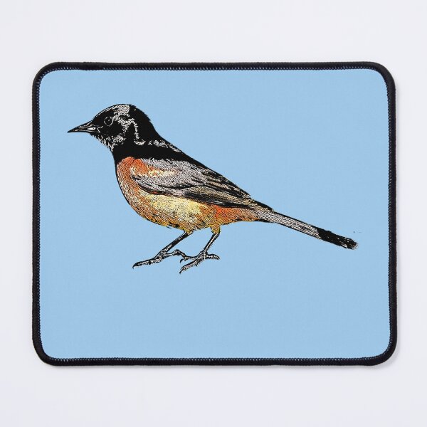 Item preview, Orchard Oriole Male Black Alternate Design  designed and sold by designsasstultd.