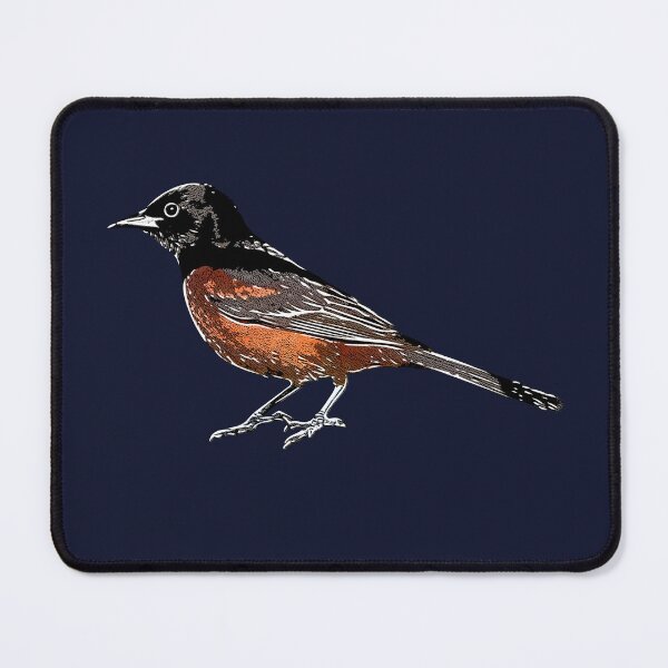 Item preview, Orchard Oriole Male White Alternate Design  designed and sold by designsasstultd.
