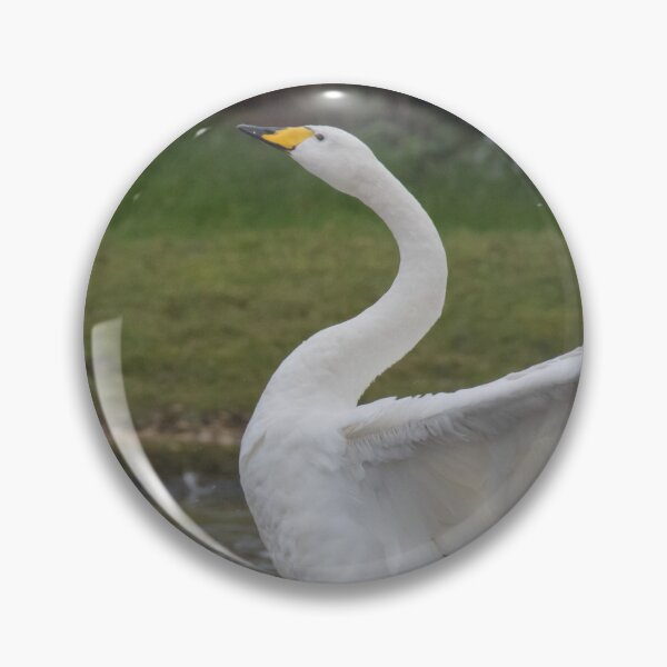 Item preview, Whooper Swan designed and sold by LaurenTucker.