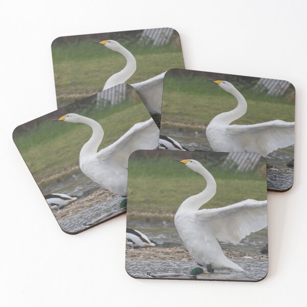 Item preview, Whooper Swan designed and sold by LaurenTucker.