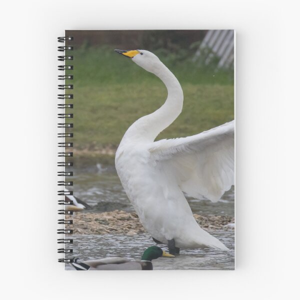 Item preview, Whooper Swan designed and sold by LaurenTucker.