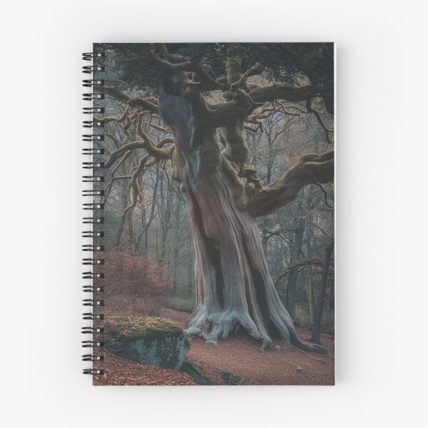 Item preview, old tree in the forest designed and sold by Izabela Włodarczyk.