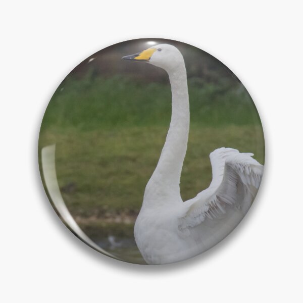 Item preview, Whooper Swan designed and sold by LaurenTucker.