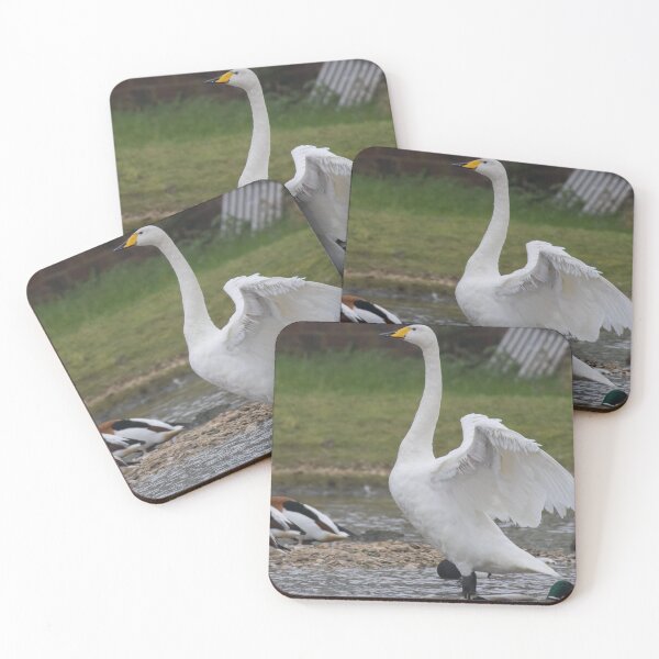 Item preview, Whooper Swan designed and sold by LaurenTucker.