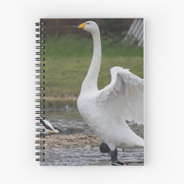Item preview, Whooper Swan designed and sold by LaurenTucker.
