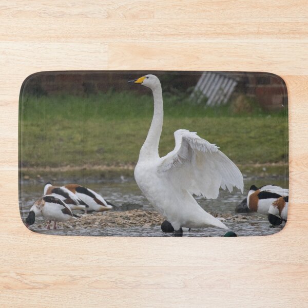 Item preview, Whooper Swan designed and sold by LaurenTucker.