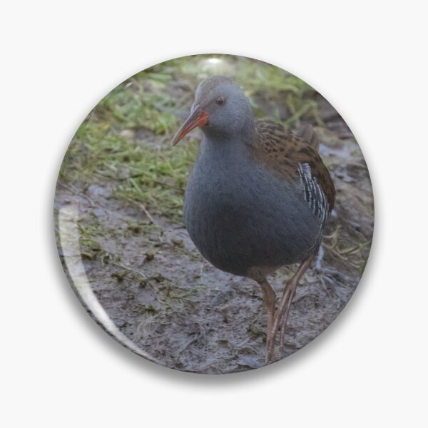Item preview, Water Rail designed and sold by LaurenTucker.