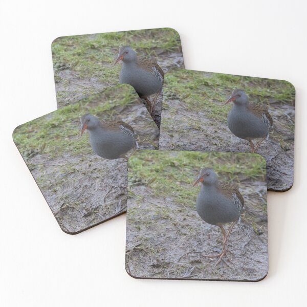 Item preview, Water Rail designed and sold by LaurenTucker.