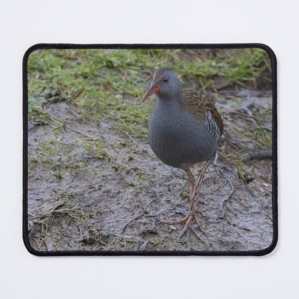 Item preview, Water Rail designed and sold by LaurenTucker.