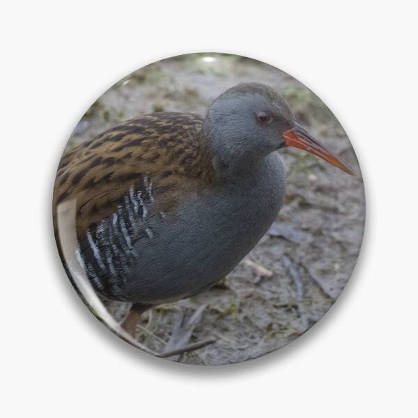 Item preview, Water Rail designed and sold by LaurenTucker.