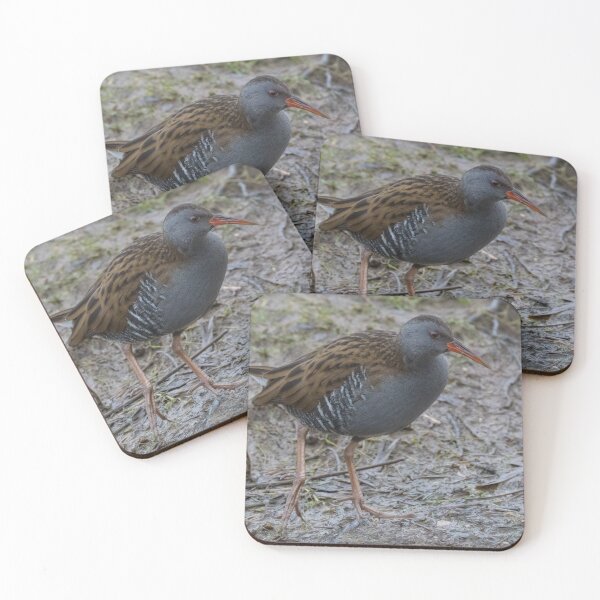 Item preview, Water Rail designed and sold by LaurenTucker.