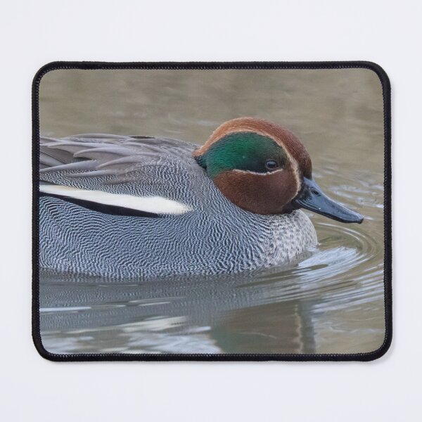 Item preview, Teal designed and sold by LaurenTucker.