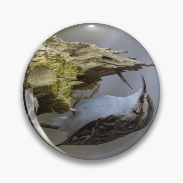 Item preview, Treecreeper designed and sold by LaurenTucker.