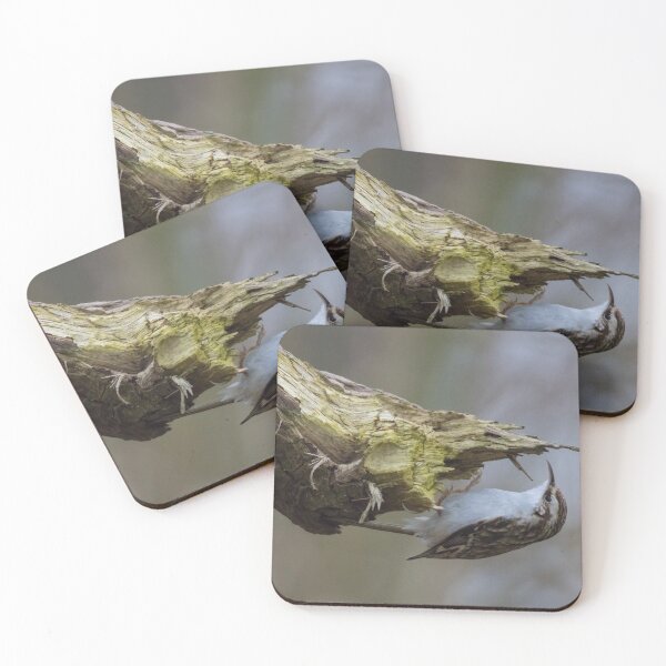 Item preview, Treecreeper designed and sold by LaurenTucker.