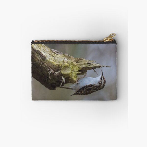 Item preview, Treecreeper designed and sold by LaurenTucker.
