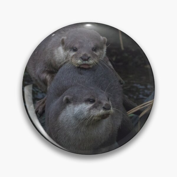 Item preview, Asian Short Clawed Otter designed and sold by LaurenTucker.