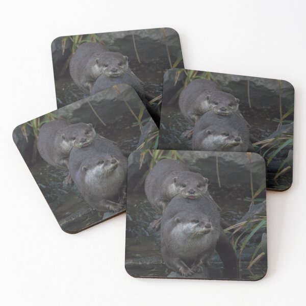 Item preview, Asian Short Clawed Otter designed and sold by LaurenTucker.