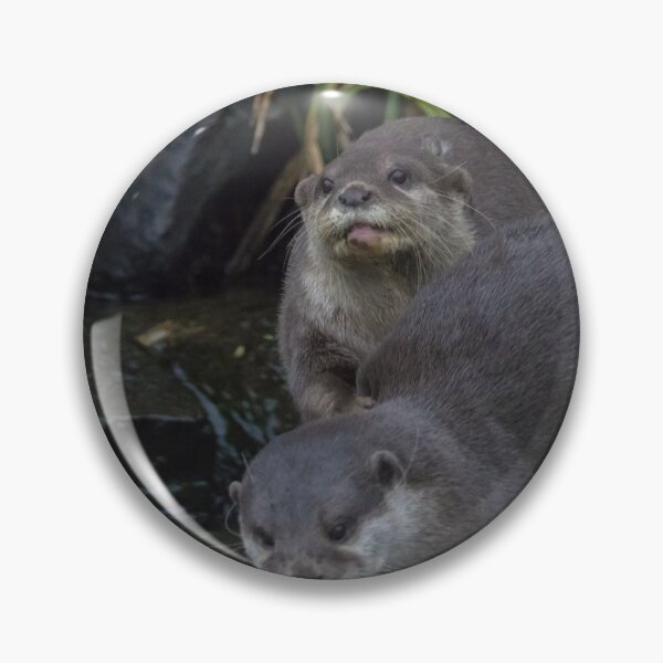 Item preview, Asian Short Clawed Otter designed and sold by LaurenTucker.
