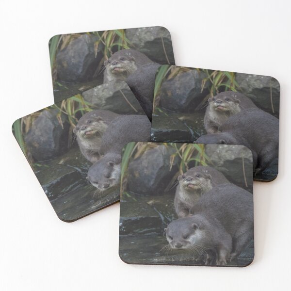 Item preview, Asian Short Clawed Otter designed and sold by LaurenTucker.