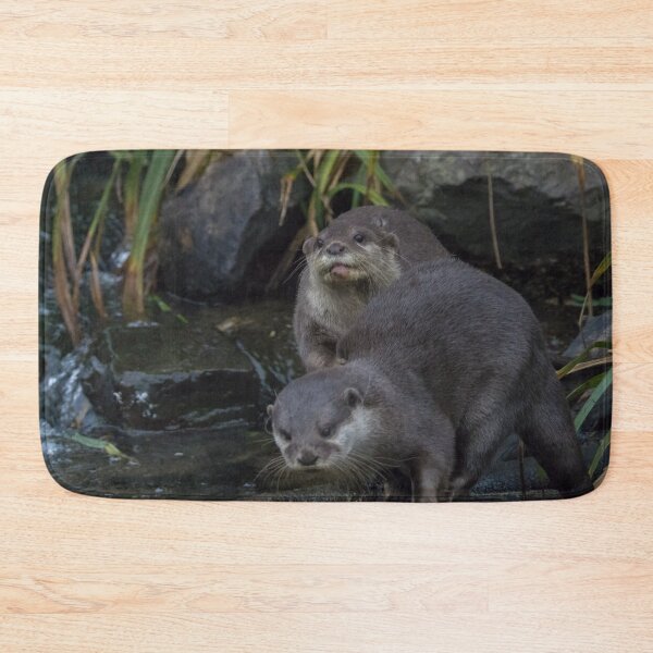 Item preview, Asian Short Clawed Otter designed and sold by LaurenTucker.