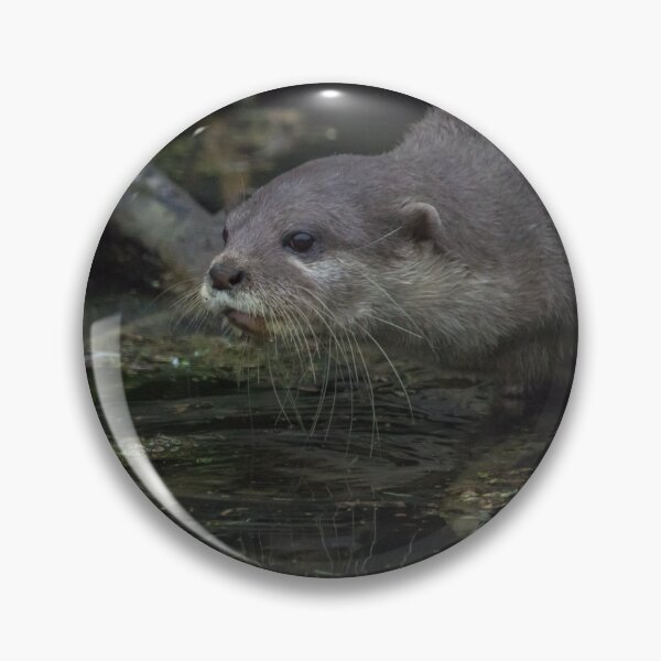 Item preview, Asian Short Clawed Otter designed and sold by LaurenTucker.