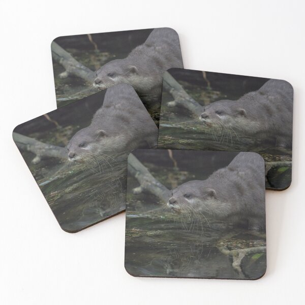 Item preview, Asian Short Clawed Otter designed and sold by LaurenTucker.