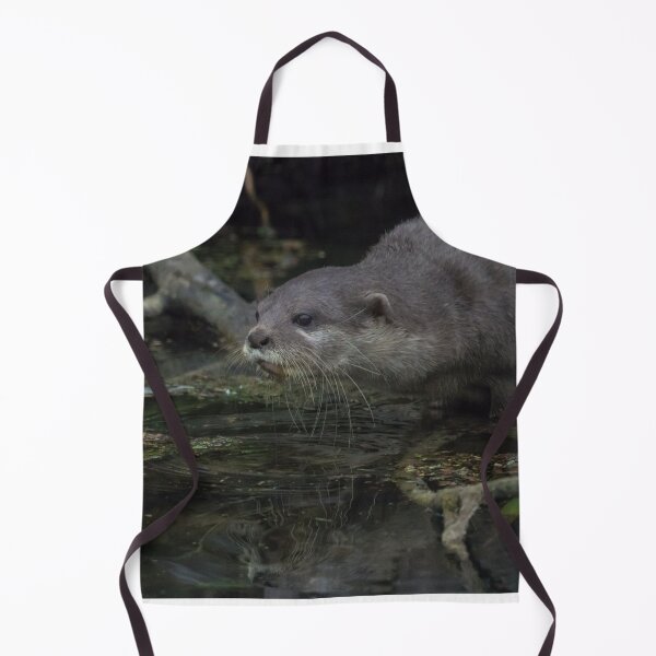 Item preview, Asian Short Clawed Otter designed and sold by LaurenTucker.