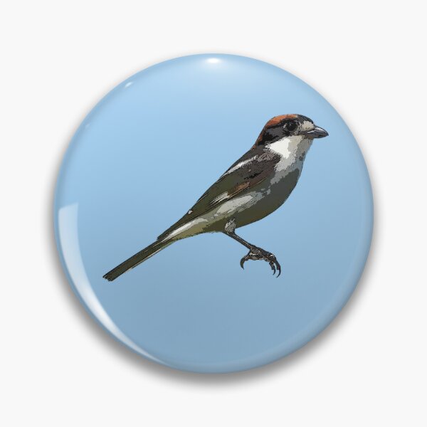 Item preview, Woodchat Shrike Color Design  designed and sold by designsasstultd.