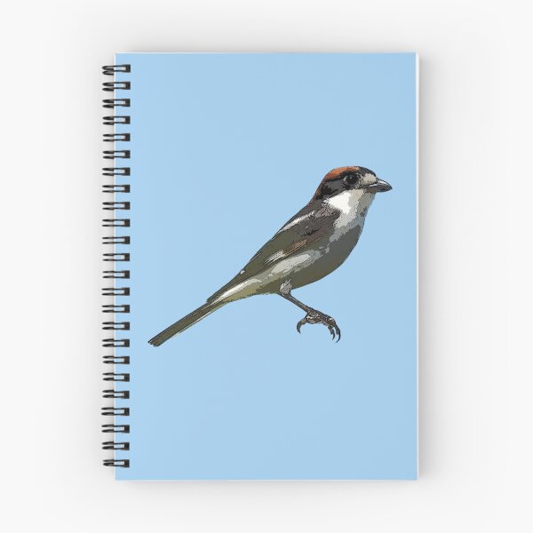 Item preview, Woodchat Shrike Color Design  designed and sold by designsasstultd.