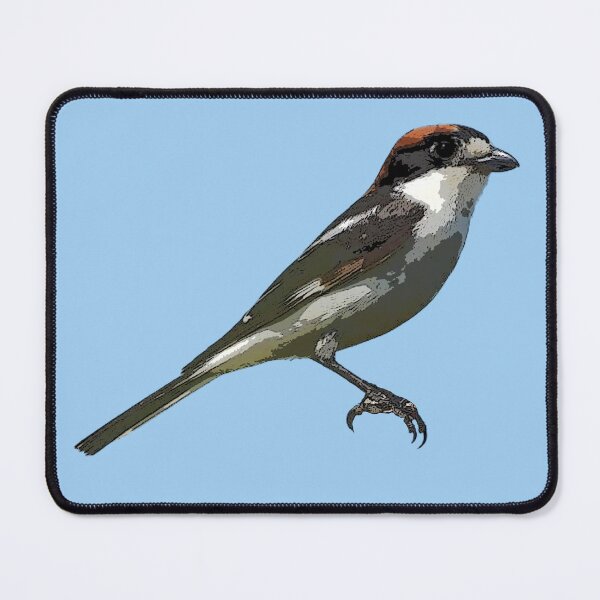 Item preview, Woodchat Shrike Color Design designed and sold by designsasstultd.
