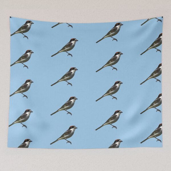 Item preview, Woodchat Shrike Color Design  designed and sold by designsasstultd.