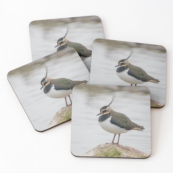 Item preview, Lapwing designed and sold by LaurenTucker.