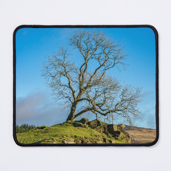 Item preview, A lone tree in the Staffordshire Peak District. designed and sold by RobThorley.
