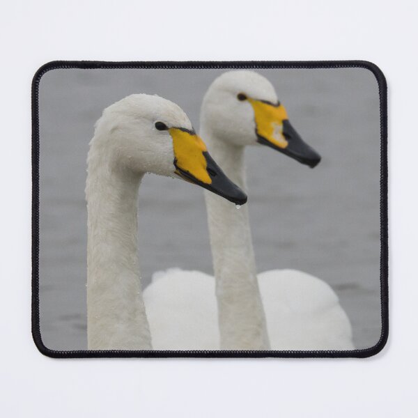 Item preview, Whooper Swan designed and sold by LaurenTucker.
