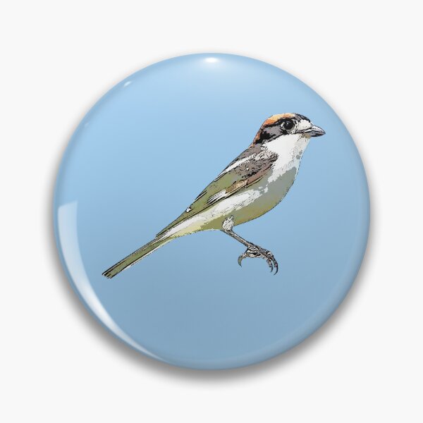 Item preview, Woodchat Shrike Black Alternate Design  designed and sold by designsasstultd.