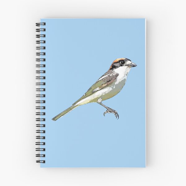 Item preview, Woodchat Shrike Black Alternate Design  designed and sold by designsasstultd.