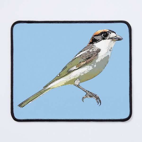 Item preview, Woodchat Shrike Black Alternate Design designed and sold by designsasstultd.