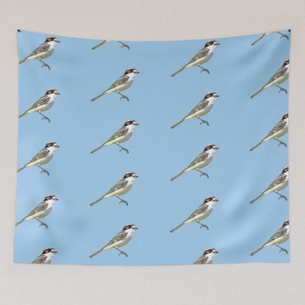 Item preview, Woodchat Shrike Black Alternate Design  designed and sold by designsasstultd.